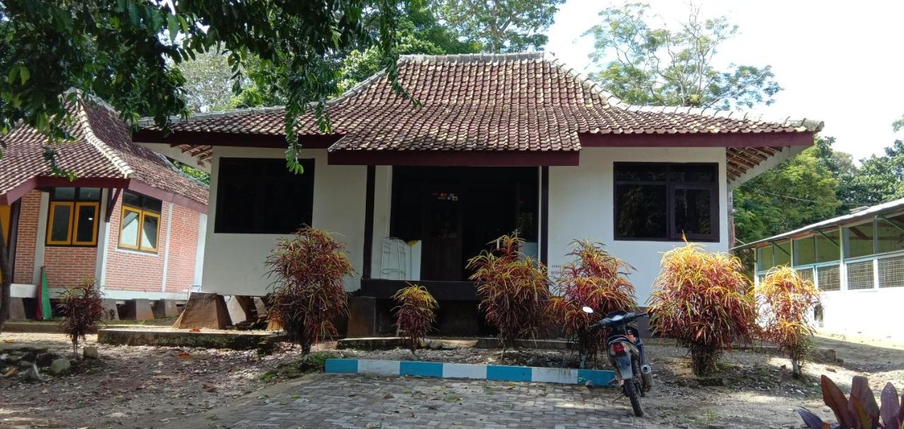 Sukamade Adventure Bed & Breakfast Banyuwangi  Bagian luar foto